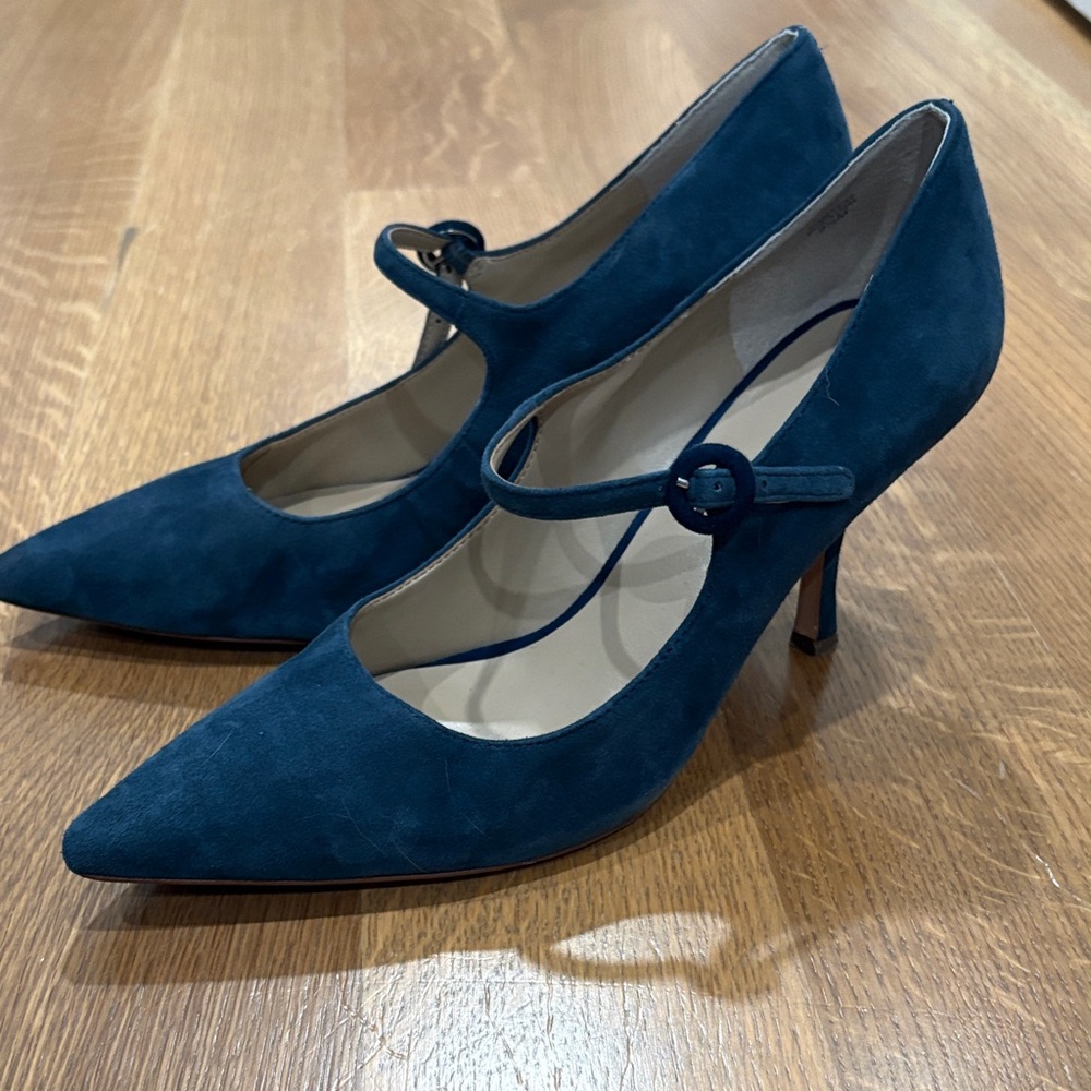 Ann Taylor Blue Suede Mary Jane Heels
